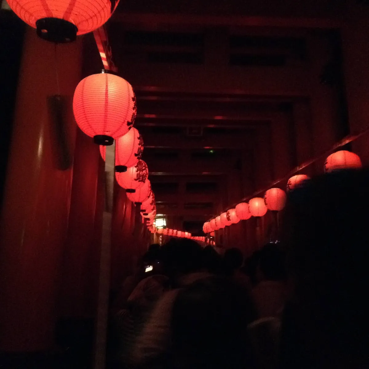 Torii gate tunnel lit by lanterns at Fushimi Inari at night