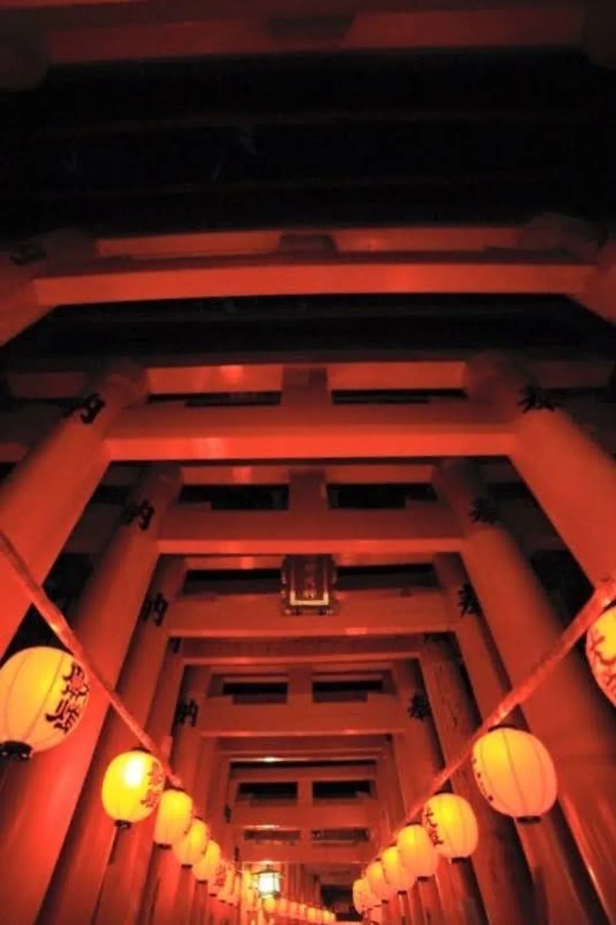 Vermillion torii gates lit by paper lanterns at night during the Motomiya Festival at Fushimi Inari shrine