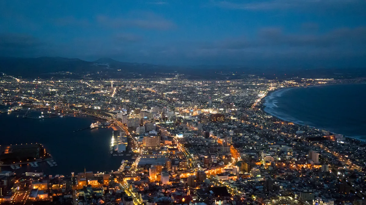Aerial night view of Hakodate city lights and harbor