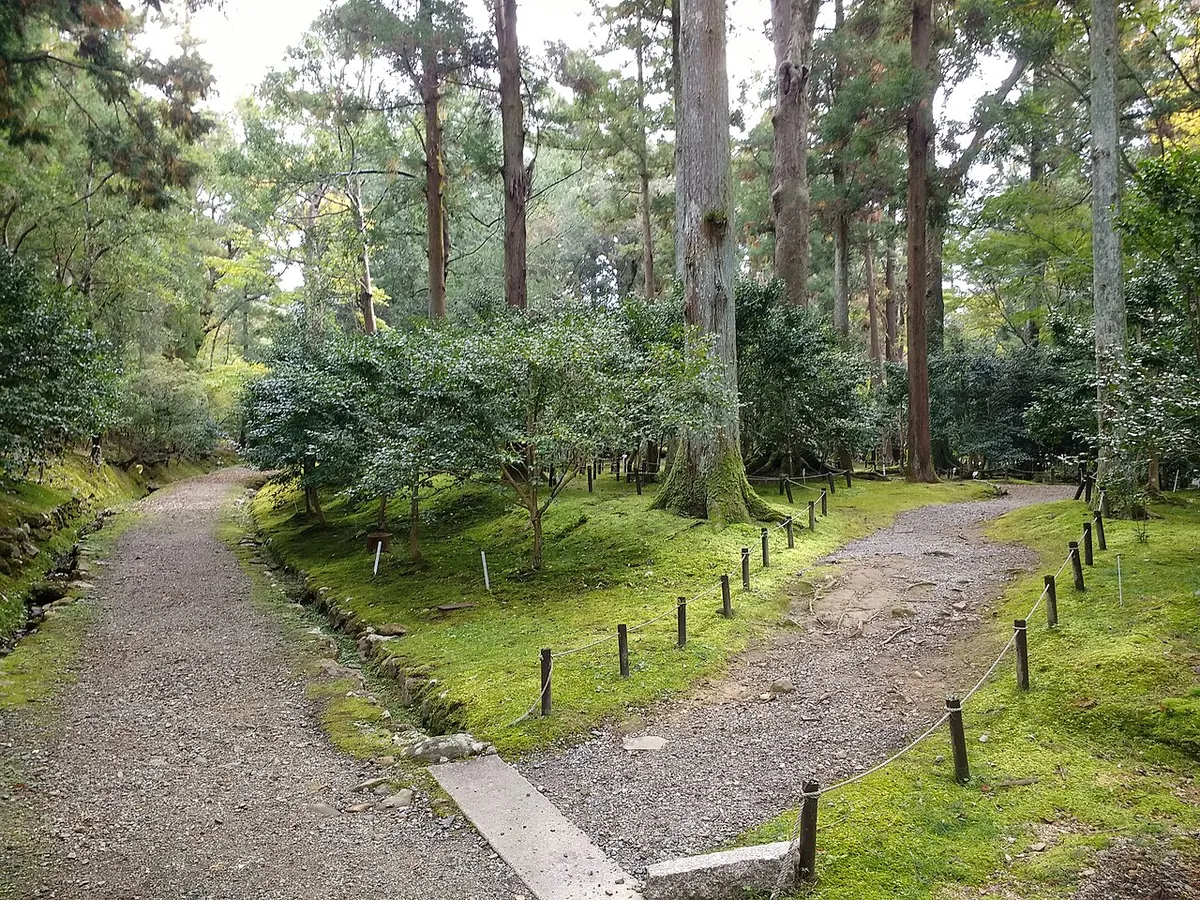 Wooded path through Manyo Botanical Garden in Nara
