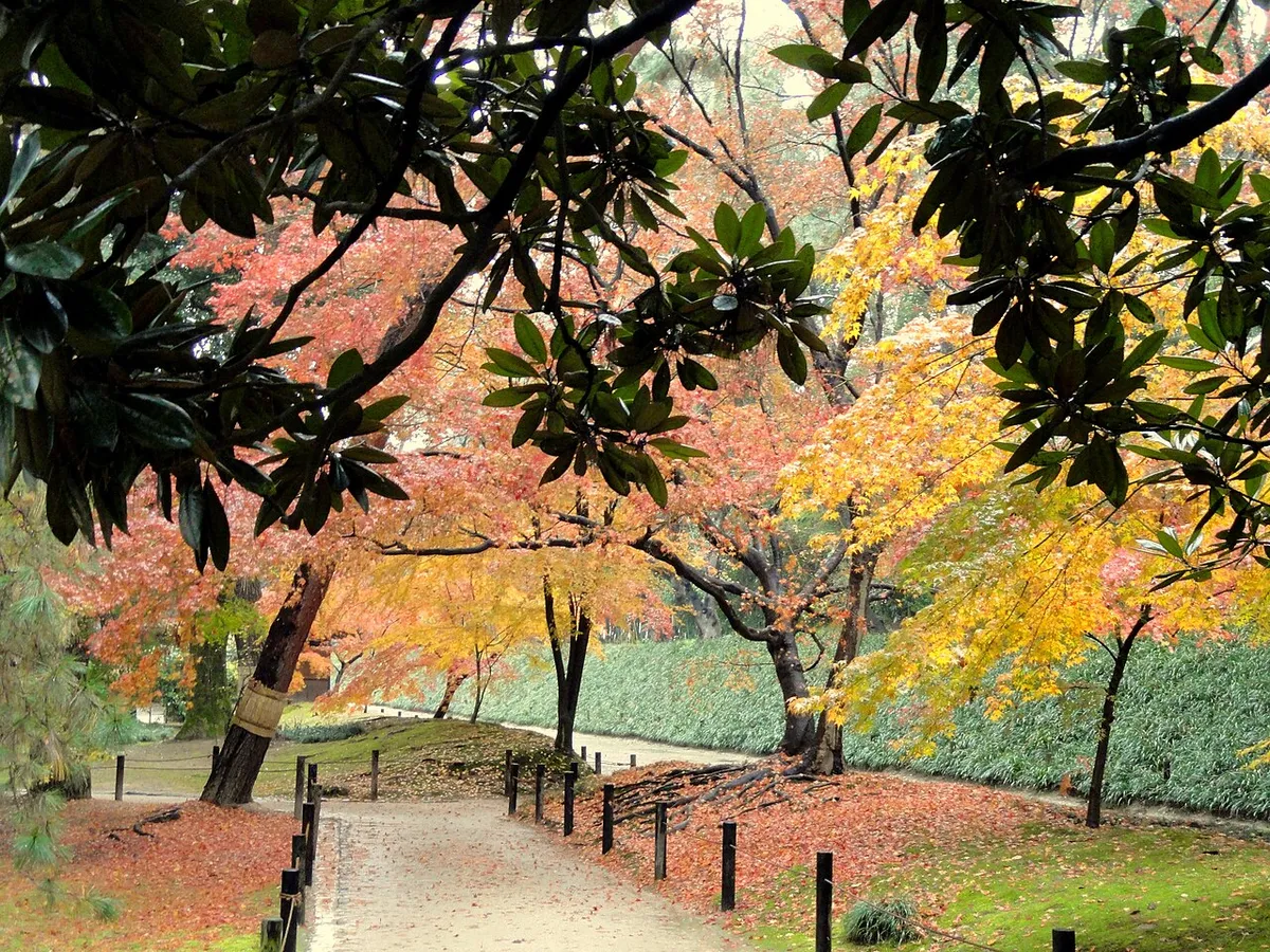 Autumn trees and paths in Okayama's Korakuen Garden