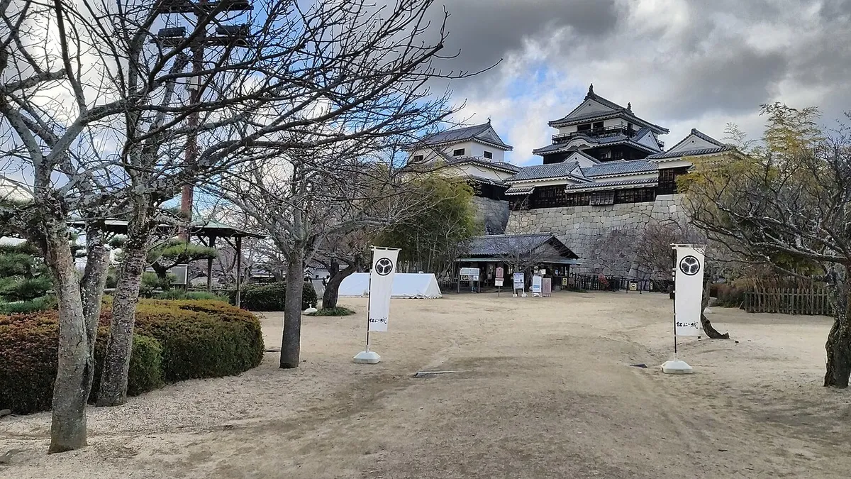 Matsuyama Castle framed by bare trees in Shikoku