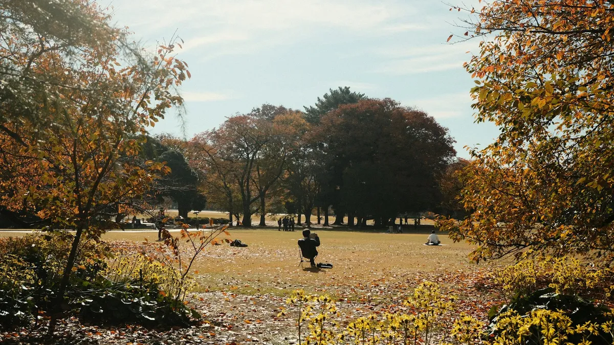 Visitors relaxing on a lawn framed by yellow and orange autumn trees at Shinjuku Gyoen